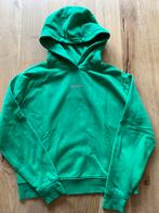 Iconic hoody / trui, maat M, Kleding | Dames, Maat 38/40 (M), Ophalen of Verzenden, Groen, Amy & Ivy
