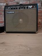 Guyatone Flip GA-1000 buizenversterker, Muziek en Instrumenten, Versterkers | Bas en Gitaar, Ophalen of Verzenden, Gebruikt, Gitaar