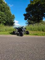 Yamaha Raptor 660R SE, 1 cilinder, 660 cc, 12 t/m 35 kW