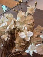 Witte Orchideeën Bos - Decoratief, Ophalen, Zo goed als nieuw, Binnen