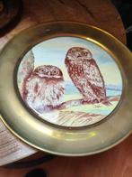 Vintage messing bord met uilen afbeelding, Antiek en Kunst, Ophalen of Verzenden