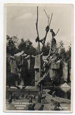 Rhenen Ouwehands Dierenpark Apenparadijs 1938, Ophalen, 1920 tot 1940, Gelopen, Utrecht