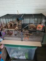 2 kleurmuizen met kooi, Dieren en Toebehoren, Kooi, Zo goed als nieuw, Muis, Ophalen