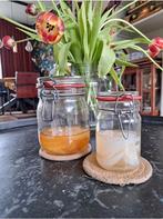 Kombucha Scoby (zwam) + starter van zwarte en groene thee, Ophalen of Verzenden