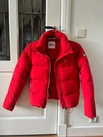 Tommy Hilfiger puffer ski/winterjas XS, Tommy Hilfiger, Maat 34 (XS) of kleiner, Ophalen of Verzenden, Zo goed als nieuw