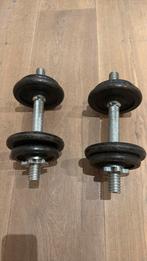Dumbells, Sport en Fitness, Fitnessmaterialen, Ophalen, Gebruikt, Dumbbell