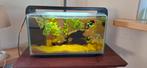 Superfish 25, startklaar., Dieren en Toebehoren, Ophalen, Zo goed als nieuw, Gevuld zoetwateraquarium