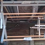 Molen, Dieren en Toebehoren, Vogels | Kanaries, Meerdere dieren, Kleurkanarie