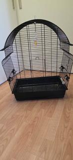 Grote parkietenkooi, Dieren en Toebehoren, Vogels | Parkieten en Papegaaien, Meerdere dieren, Parkiet