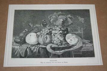 Antieke prent - Stilleven met fruit (naar de Heem) - 1876 !! beschikbaar voor biedingen