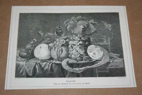 Antieke prent - Stilleven met fruit (naar de Heem) - 1876 !!, Verzamelen, Foto's en Prenten, Gebruikt, Prent, Voor 1940, Ophalen of Verzenden