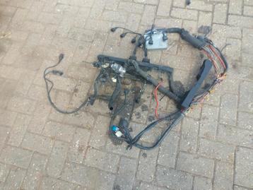bmw e36 320i siemens m50 kabelboom beschikbaar voor biedingen