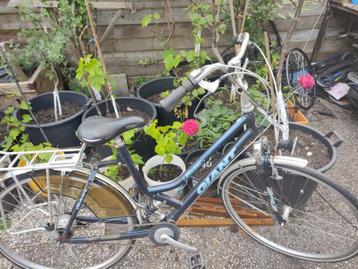 28 inch GIANT dames fiets met 4 versnellingen