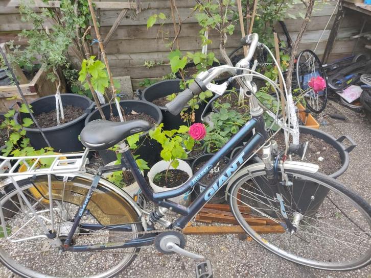 28 inch GIANT dames fiets met 4 versnellingen, Fietsen en Brommers, Fietsen | Dames | Damesfietsen, Gebruikt, Giant, Versnellingen