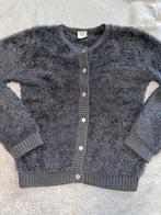 Leuk blauw/grijs fluffy vest met knopen van de Hema, 122/128, Gebruikt, Meisje, Trui of Vest, Ophalen of Verzenden