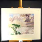 Online Veiling: Aquarel