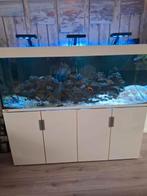 zeeaquarium 500 liter met toebehoren, Dieren en Toebehoren, Vissen | Aquaria en Toebehoren, Ophalen of Verzenden, Zo goed als nieuw