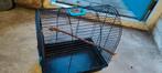 Vogel kooitje, Dieren en Toebehoren, Ophalen, Minder dan 75 cm, Kooi, Minder dan 60 cm