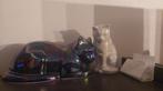 Urn Keramiek Kat ongebruikt/nieuw, Dieren en Toebehoren, Katten-accessoires, Ophalen of Verzenden, Nieuw