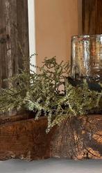Asparagus tak kunst kunsttak groene stoer sober landelijk, Verzenden, Nieuw, Binnen