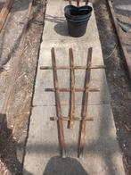 Partij 1000 + Klimrek planten voor in pot, Ophalen, Overige soorten, Volle zon