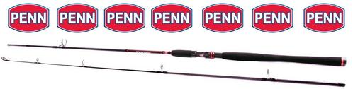 Penn Squadron SW Spin Spinhengel, Watersport en Boten, Hengelsport | Zeevissen, Nieuw, Werphengel, Ophalen