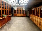 XXL Schoolkast | Vitrinekast | Boekenkast | Wandkast, 2033NJ, Vintage, 25 tot 50 cm, Ophalen