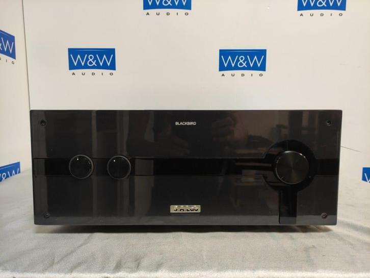 S.A Lab Blackbird MKII, Audio, Tv en Foto, Versterkers en Receivers, Gebruikt, Stereo, Overige merken, Ophalen of Verzenden