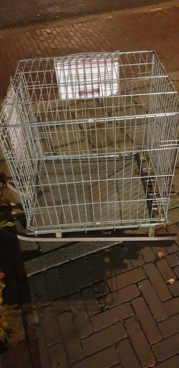 Metalen Draadkooi beschikbaar voor biedingen