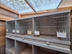Driedelige Broedkooien 2x, Dieren en Toebehoren, Ophalen, Zo goed als nieuw, Broedkooi of Kweekkooi