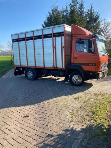 Super strakke Mercedes 817 vee/paarden wagen beschikbaar voor biedingen