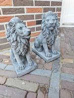 Betonbeelden leeuwen set, Ophalen, Nieuw, Beton, Dierenbeeld