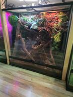 Exo terra terrarium 90x90x45, Dieren en Toebehoren, Reptielen en Amfibieën | Toebehoren, Ophalen, Zo goed als nieuw