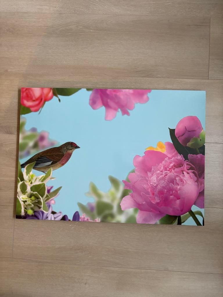 IKEA SOLMYRA Schilderij met Bloemen en Vogel, Ophalen, Zo goed als nieuw, Overige materialen