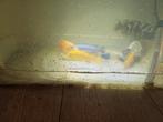 6 malawi cichliden, Dieren en Toebehoren, Vis
