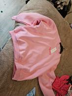 Roze Trui met 'Spicy' Opdruk - Maat M, Maat 38/40 (M), Ophalen of Verzenden, Roze, Onbekend