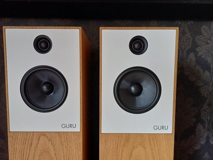 Guru 28 speakers, Audio, Tv en Foto, Luidsprekers, Zo goed als nieuw, Front, Rear of Stereo speakers, Minder dan 60 watt, Overige merken