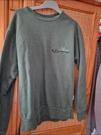 Efteling trui, Verzamelen, Efteling, Ophalen of Verzenden, Zo goed als nieuw, Kleding