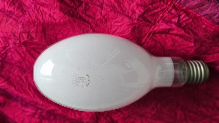 gloeilamp, Huis en Inrichting, Lampen | Losse lampen, Nieuw, Gloeilamp, 60 watt of meer, E27 (groot), Ophalen of Verzenden