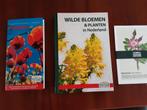 Wilde Bloemen&plannen in Nederland + Veldgids, Ophalen of Verzenden, Nieuw, Bloemen, Planten en Bomen