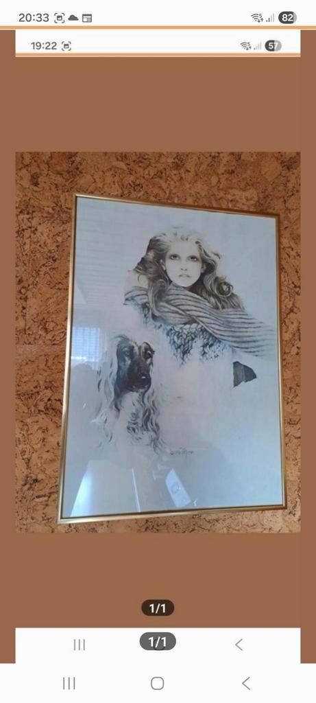 reproductie Sara Moon met goudkleur. lijst (B50/H70) (zgan), Ophalen, 50 tot 75 cm, Zo goed als nieuw, Schilderij