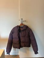 Jas Monki purple, Paars, Ophalen of Verzenden, Monki, Maat 34 (XS) of kleiner