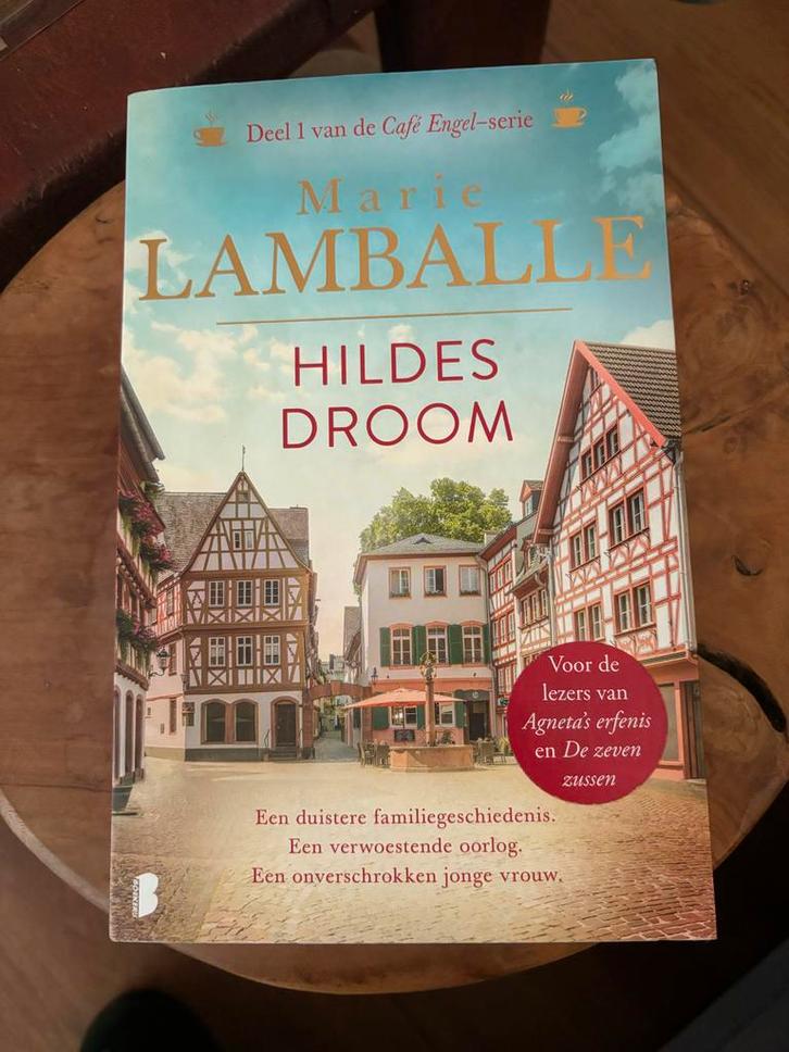 Hildes Droom - Marie Lamballe, Boeken, Romans, Zo goed als nieuw, Nederland, Ophalen of Verzenden