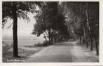 Bergh, Beekseweg., Verzenden, 1940 tot 1960, Gelopen, Gelderland