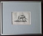 Olifant - pentekening? gravure?, Ophalen of Verzenden