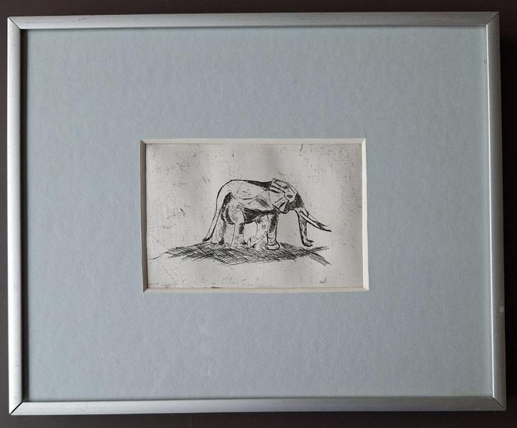 Olifant - pentekening? gravure?, Antiek en Kunst, Kunst | Etsen en Gravures, Ophalen of Verzenden