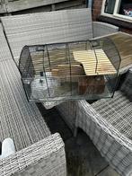 Hamster kooi met toebehoren t.e.a.b, Hamster