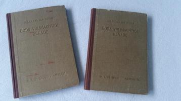 Gods vrijmachtige genade - Jilles van der Koogh beschikbaar voor biedingen