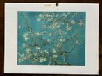 Van Gogh Amandelbloesem Art Print, Ophalen of Verzenden