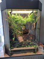 Paludarium, Dieren en Toebehoren, Slang, 0 tot 2 jaar